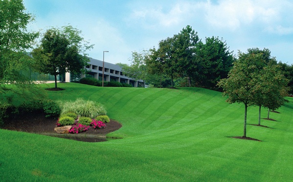 commercial lawn care