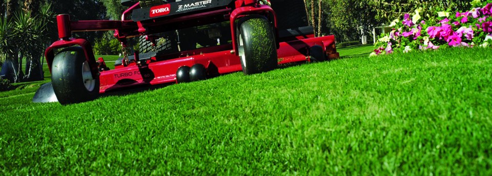 commercial lawn care